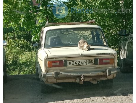 е242ар150, Lada (VAZ) 2106