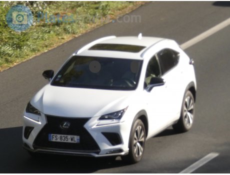 FS-835-WL, Lexus NX