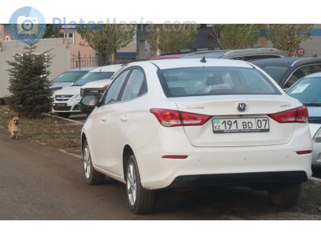191 BD 07, Changan (Chana) Alsvin
