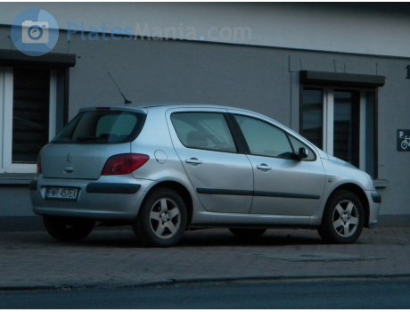 PWR 457EX, Peugeot 307