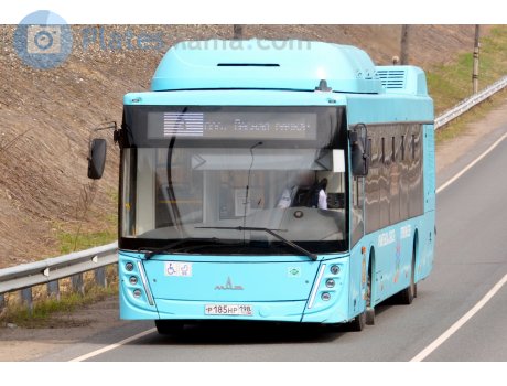 р185нр198, MAZ 203