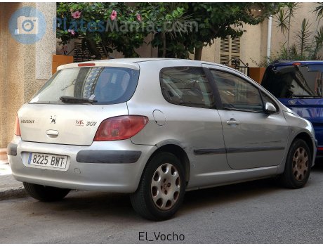 8225 BWT, Peugeot 307