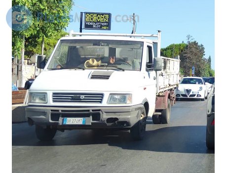 DB 274 MT, Iveco Daily