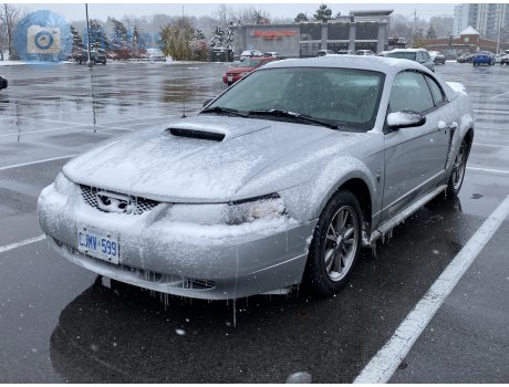 CJMV-599, Ford Mustang