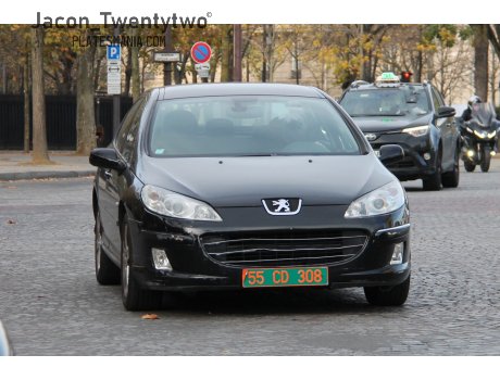 55 CD 308, Peugeot 407