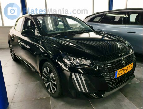 GZR-03-G, Peugeot 208