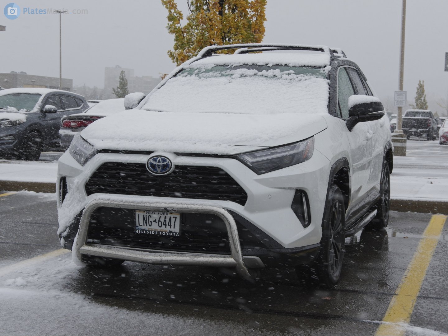 LNG-6447, Toyota RAV4 5th gen (XA50), 2018–