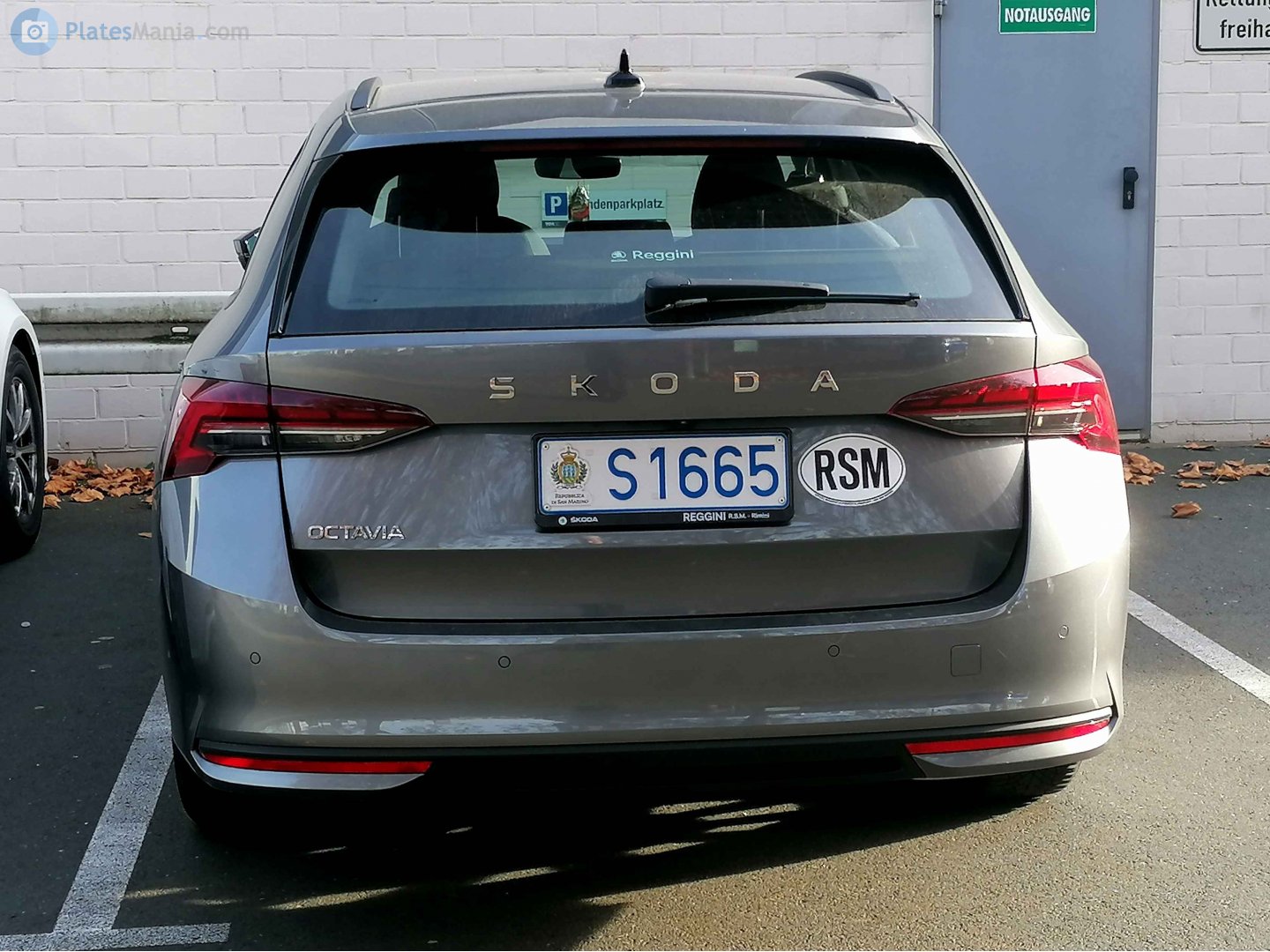 S1665, Skoda Octavia 