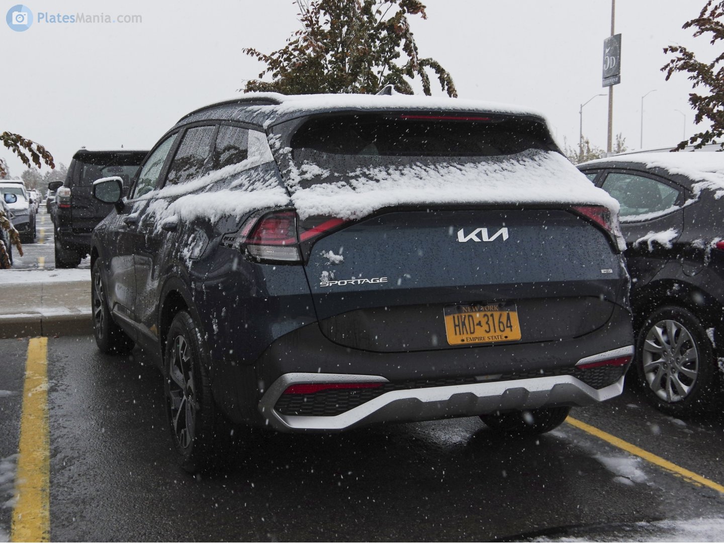 HKD-3164, Kia Sportage 5th gen (NQ5), 2021­–2025