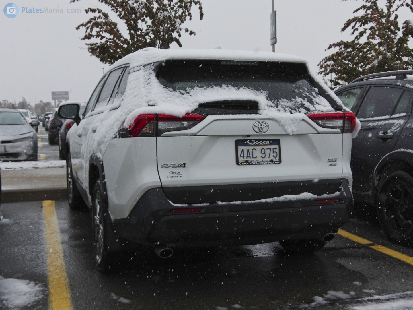 4AC 975, Toyota RAV4 5th gen (XA50), 2018–