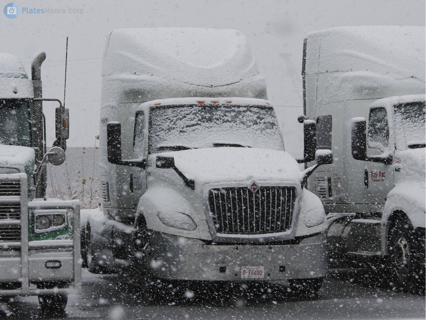 0-EG600, International LT Series 1st gen, 2017–