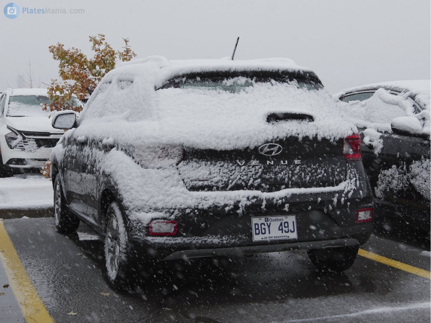 BGY 49J, Hyundai Venue 1st gen (QX), 2019–