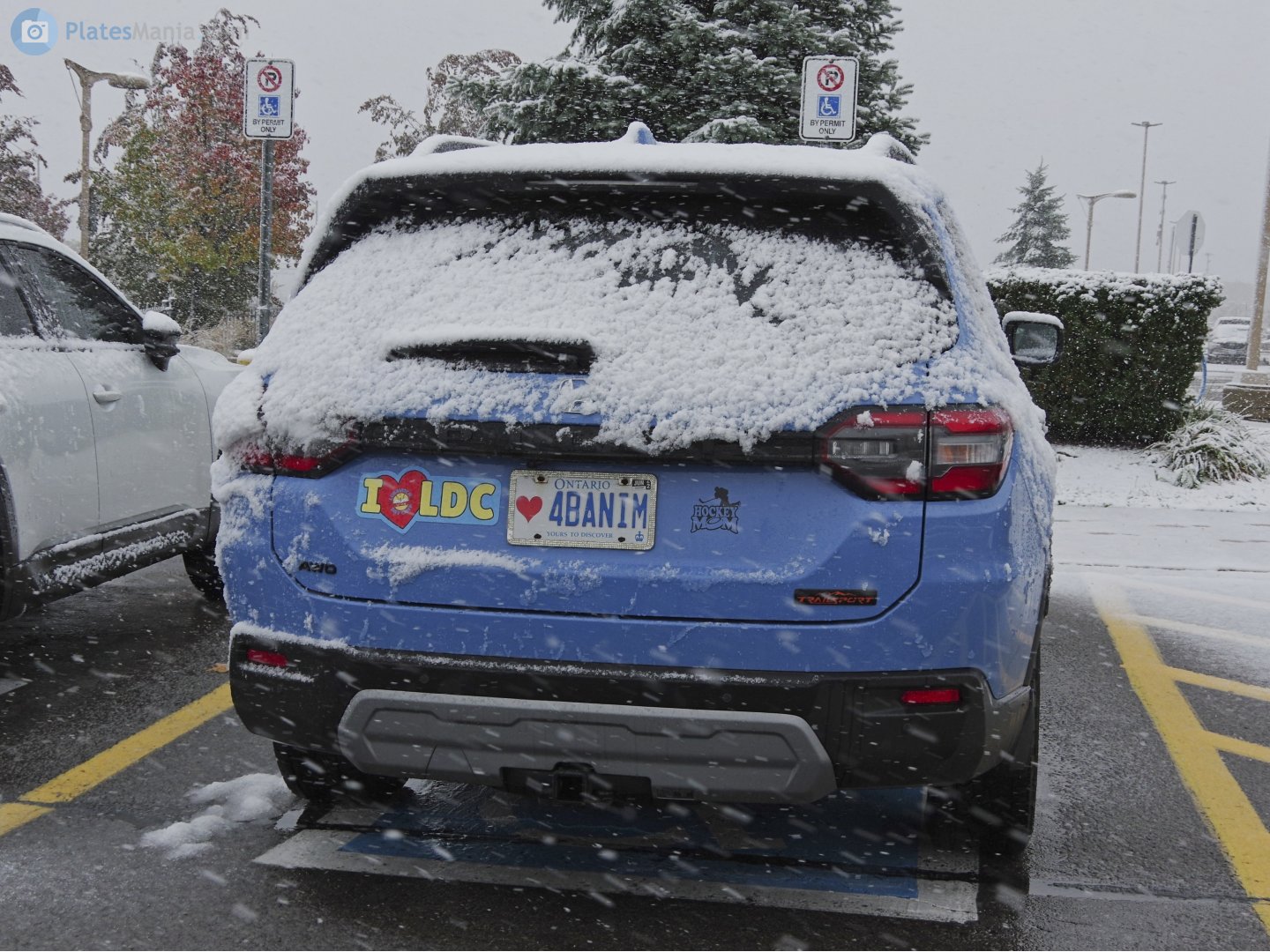 4BANIM, Honda Pilot 4th gen (YG1/YG2), 2022–