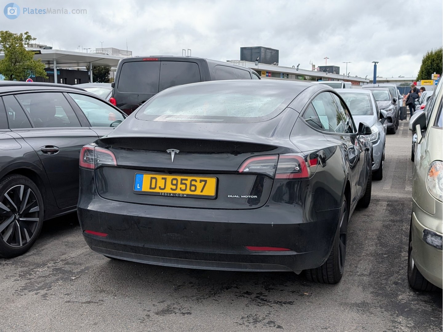 DJ 9567, Tesla Model 3 1st gen (5YJ3), 2017–2023