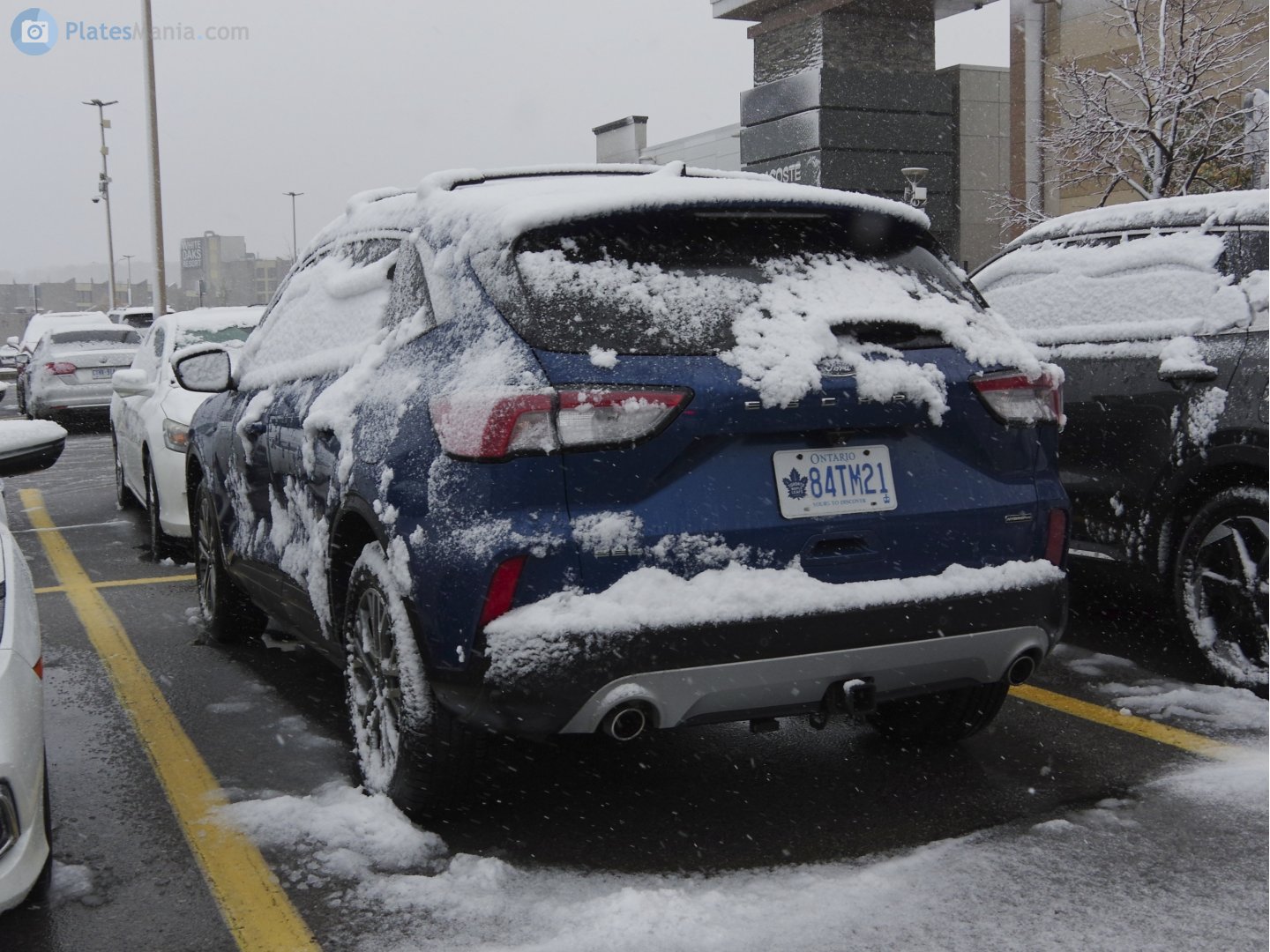 84TM21, Ford Escape 4th gen (CX482), 2019–2022