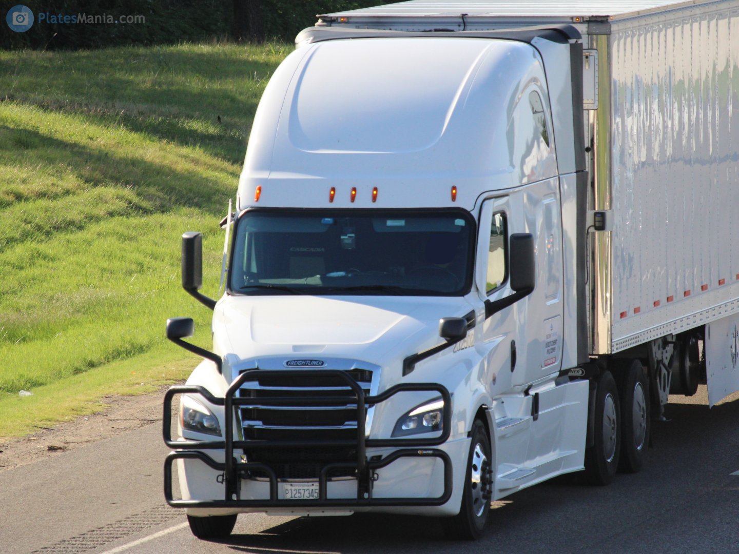 P1257345, Freightliner Cascadia 3rd/4th gen New Cascadia (2017–)