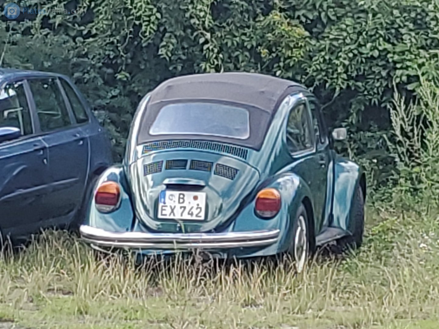 B EX 742, Volkswagen Beetle 1st gen Cabrio (Type 1), 1948­–2003