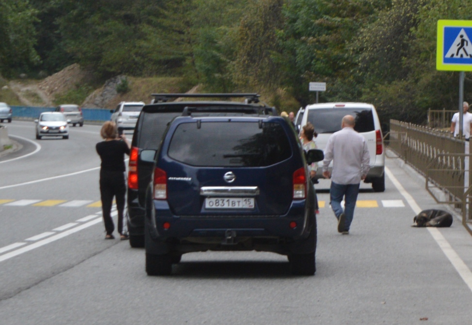 о 831 вт 15, Nissan Pathfinder 