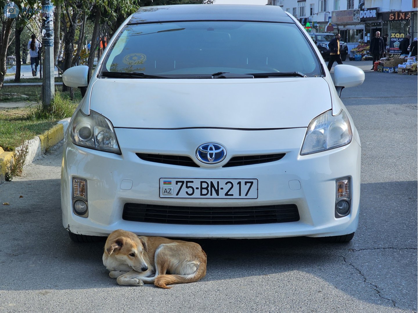 75 BN 217, Toyota Prius 3rd gen Liftback (ZVW30), 2009–2015