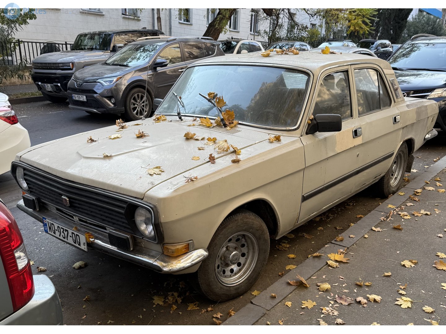 WQ-937-QQ, GAZ 24 Волга 