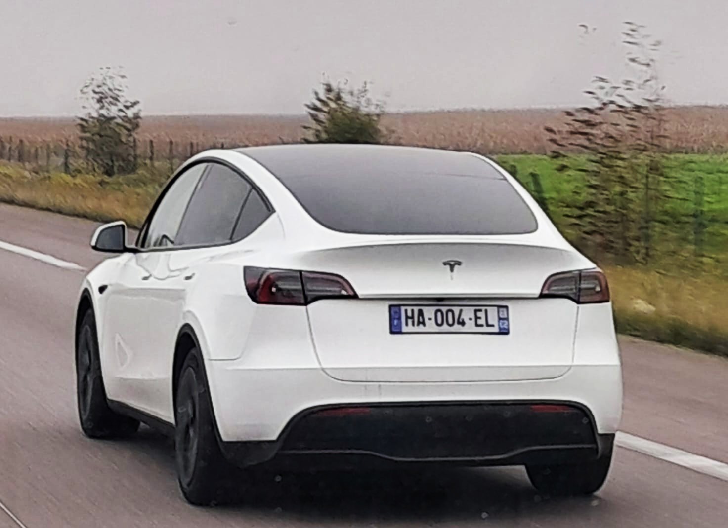 HA-004-EL, Tesla Model Y 1st gen (5YJY), 2020–2025