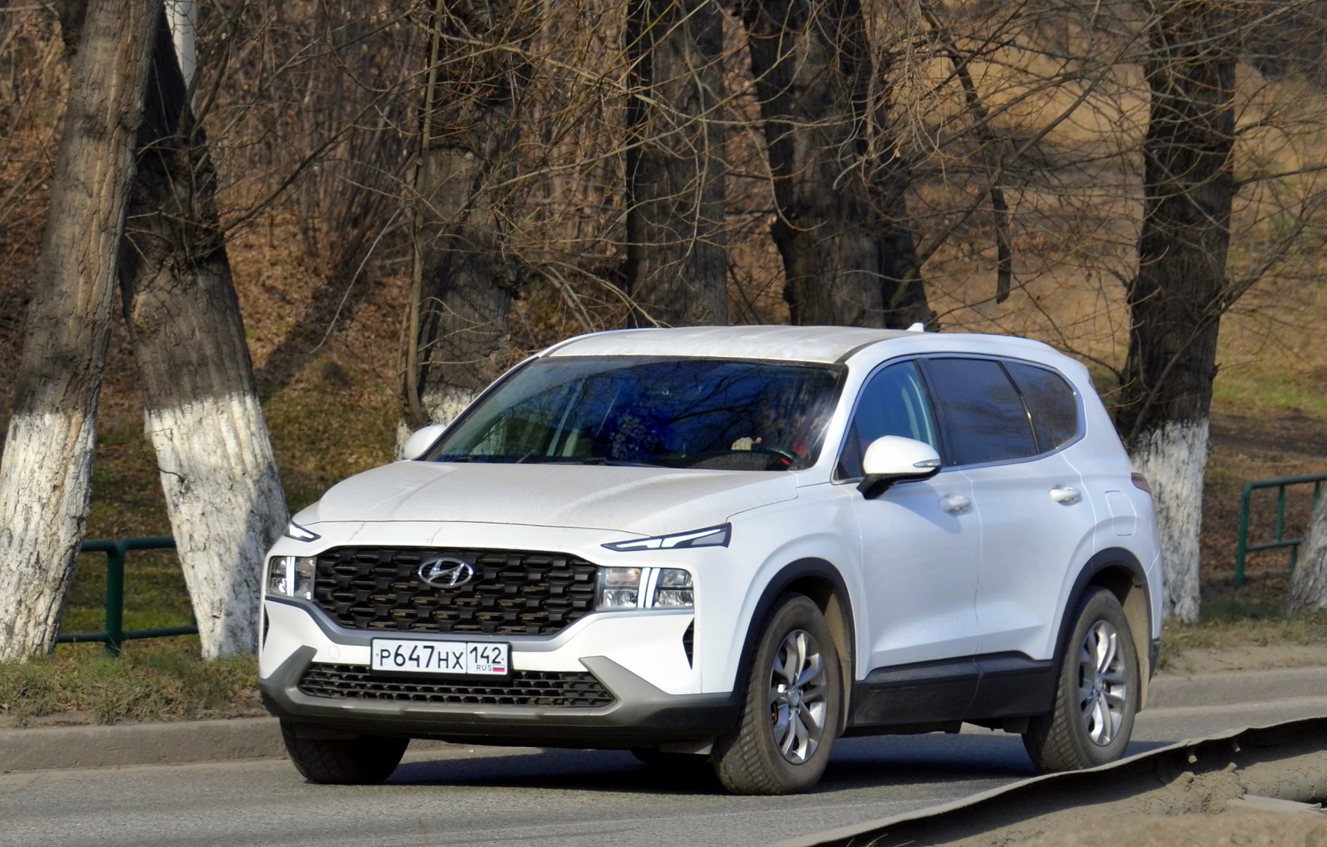 р 647 нх 142, Hyundai Santa Fe 4th gen (TM; Global-market), 2018–2020