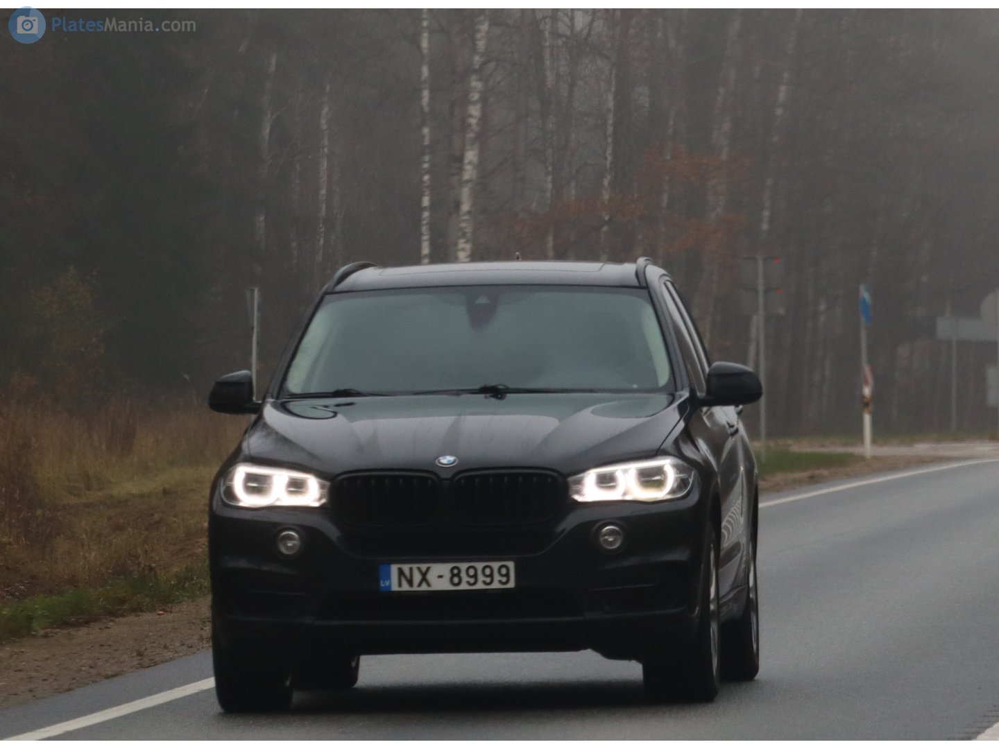 NX-8999, BMW X5 3rd gen (F15), 2013–2018