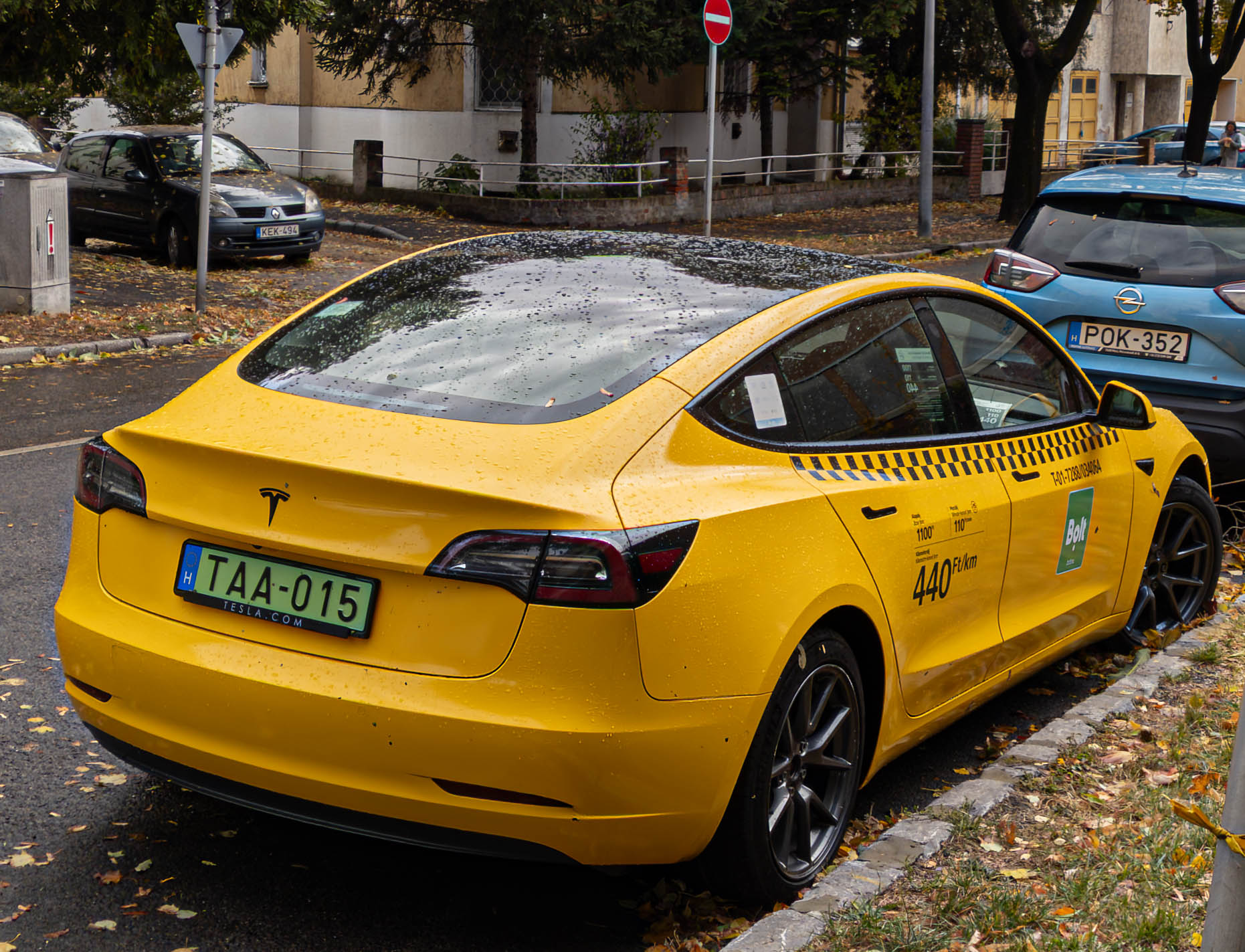 TAA-015, Tesla Model 3 1st gen (5YJ3), 2017–2023