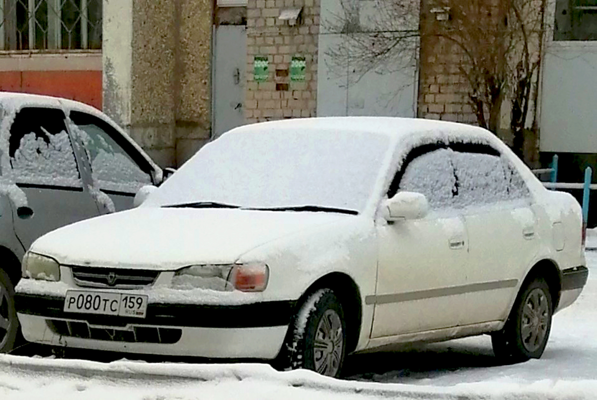 р 080 тс 159, Toyota Corolla 8th gen Sedan (E110; JP- and Pacific-market), 1995–2000