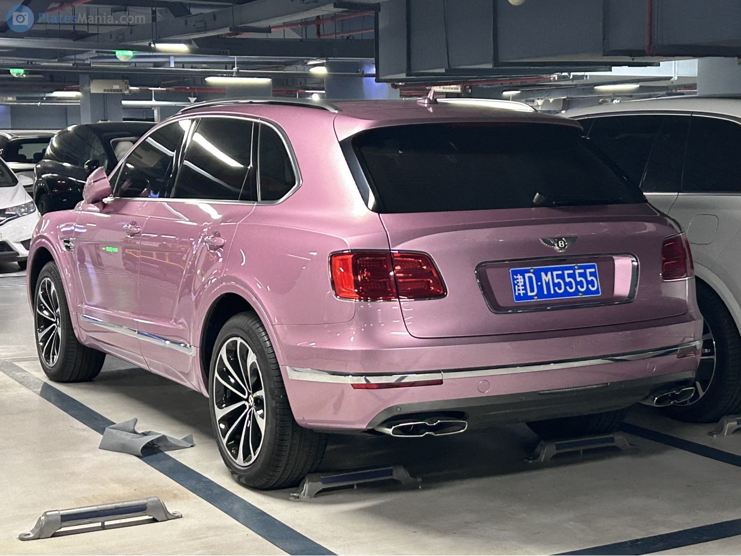 津D·M5555, Bentley Bentayga 1st gen (PL71), 2016–2020