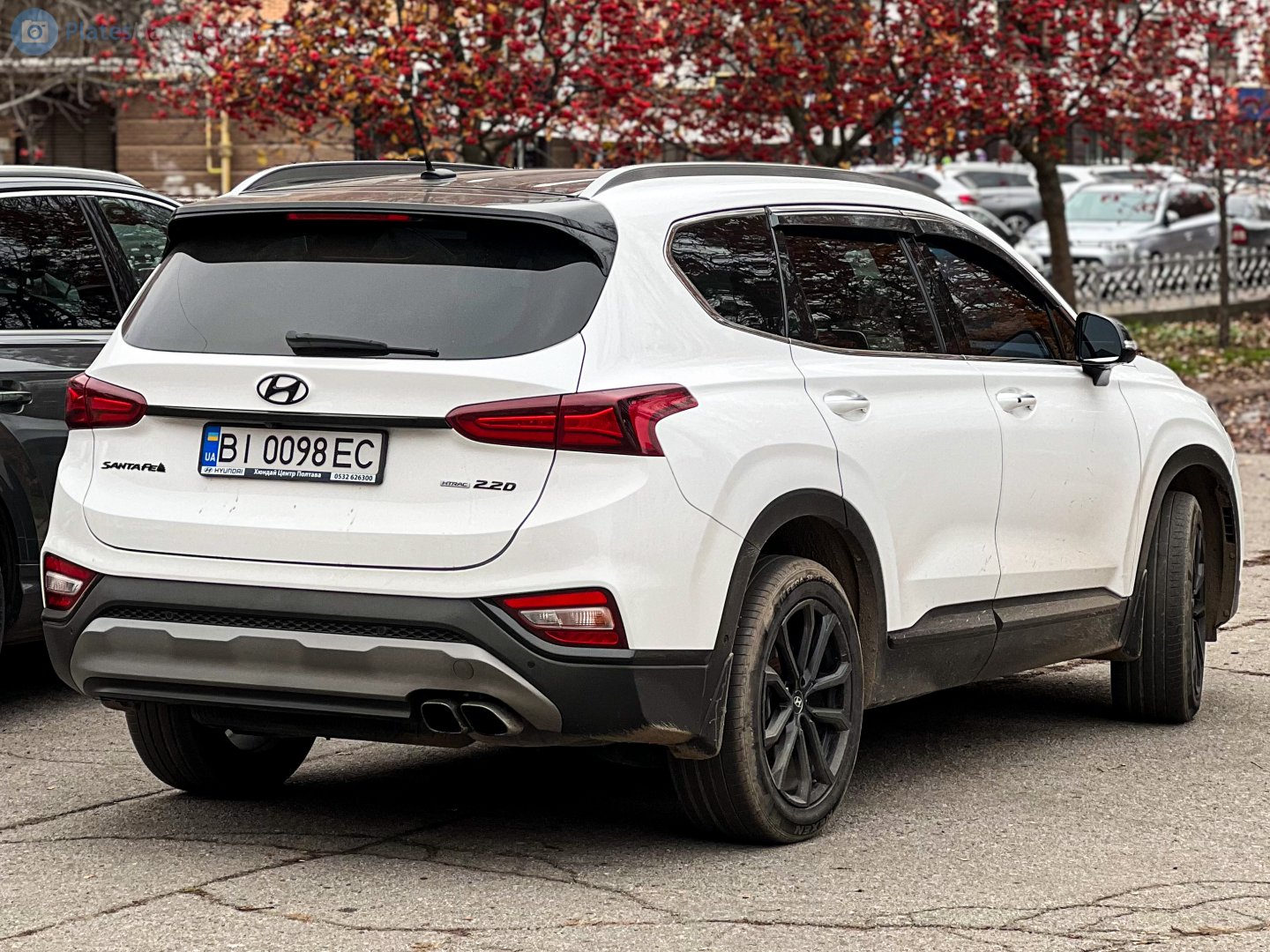 BI 0098 EC, Hyundai Santa Fe 4th gen (TM; Global-market), 2018–2020
