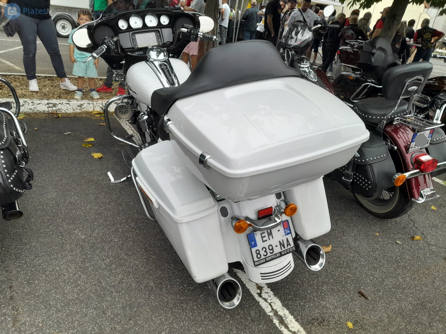 EM-839-NA, Harley-Davidson FL 