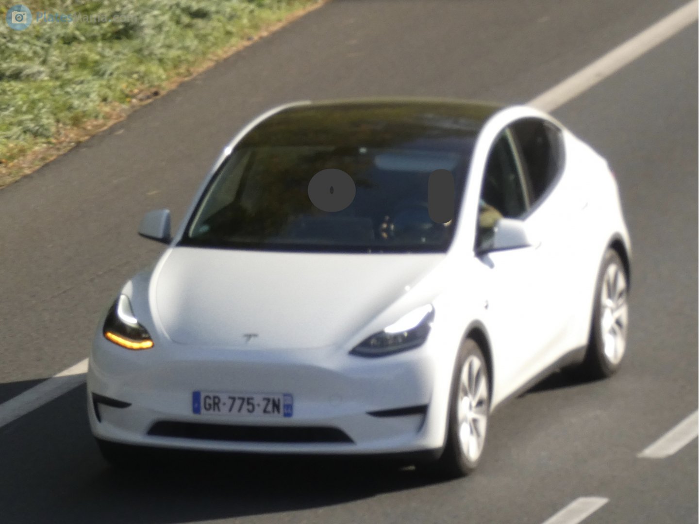 GR-775-ZN, Tesla Model Y 1st gen (5YJY), 2020–2025