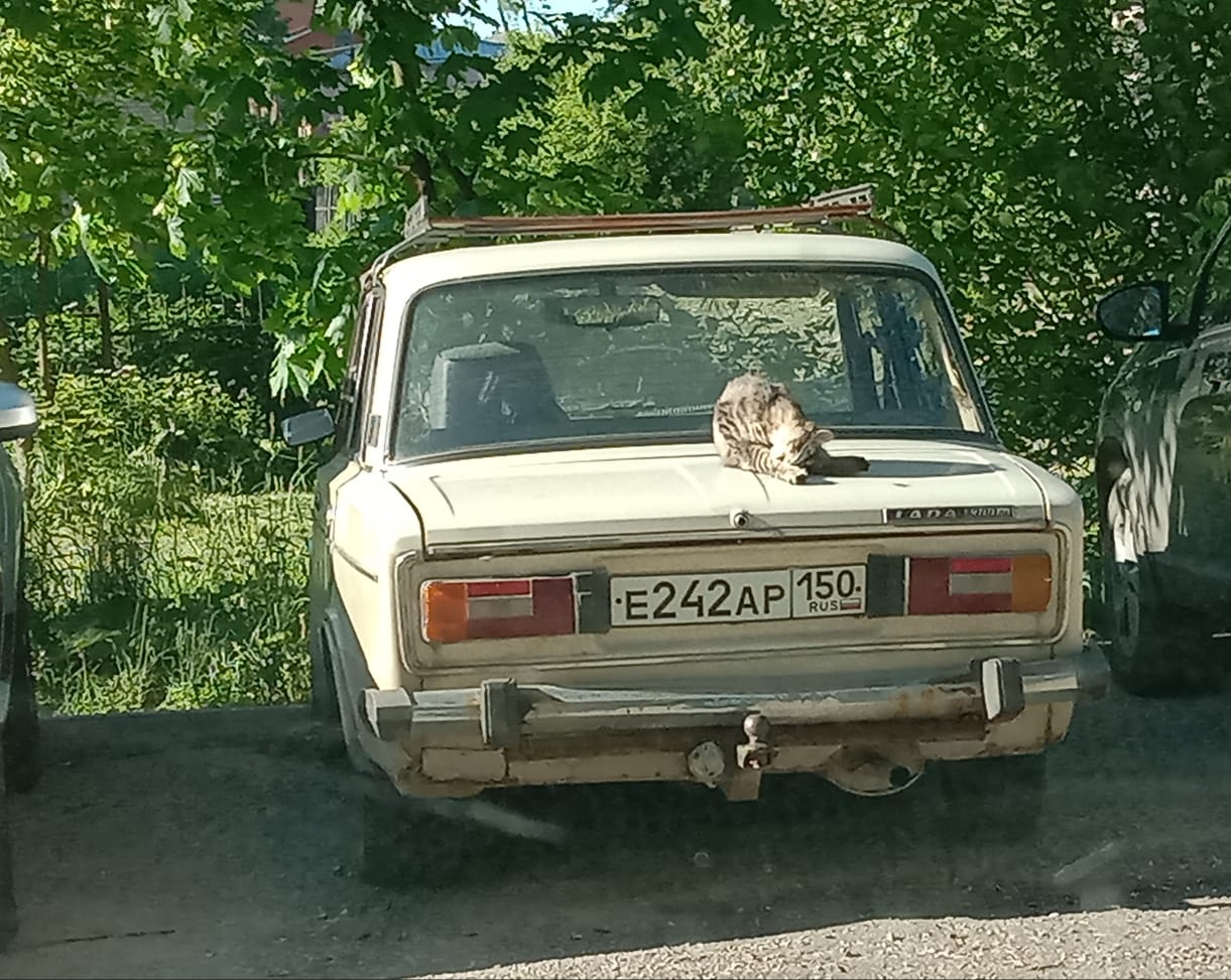 е 242 ар 150, Lada (VAZ) 2106 Жигули (1300/ 1500 /1600), 1976–2006
