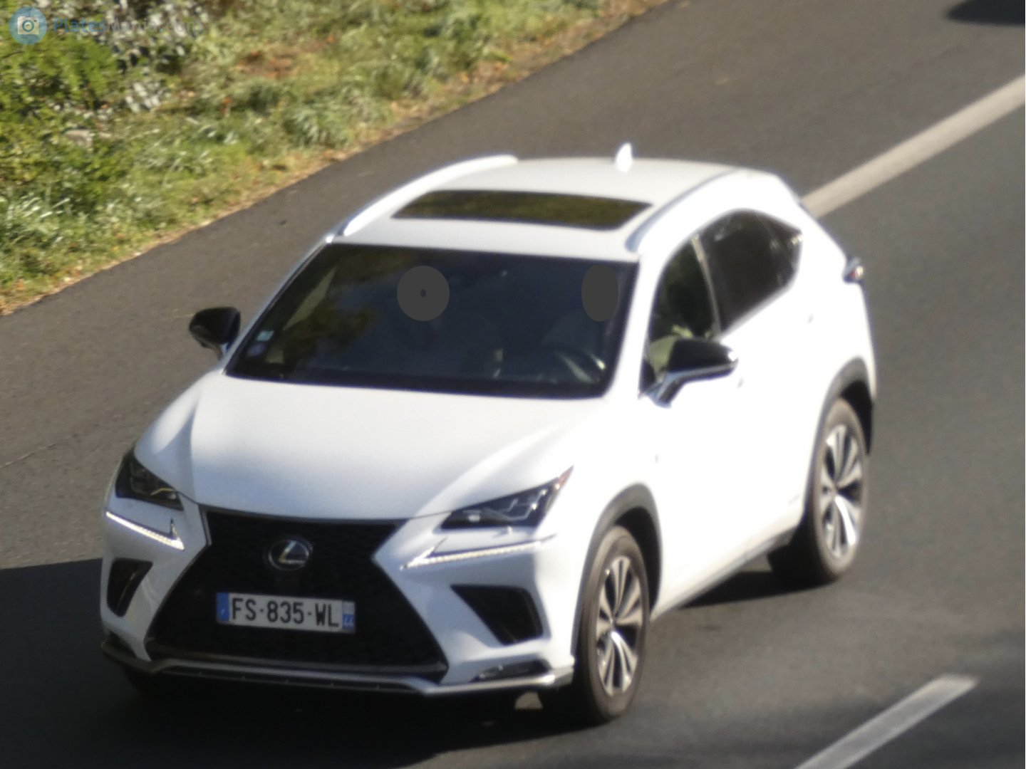 FS-835-WL, Lexus NX 1st gen (AZ10), facelift, 2017–2021