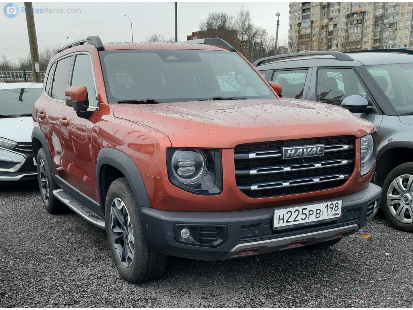 н 225 рв 198, Haval Dargo (Dagou / Big Dog) 