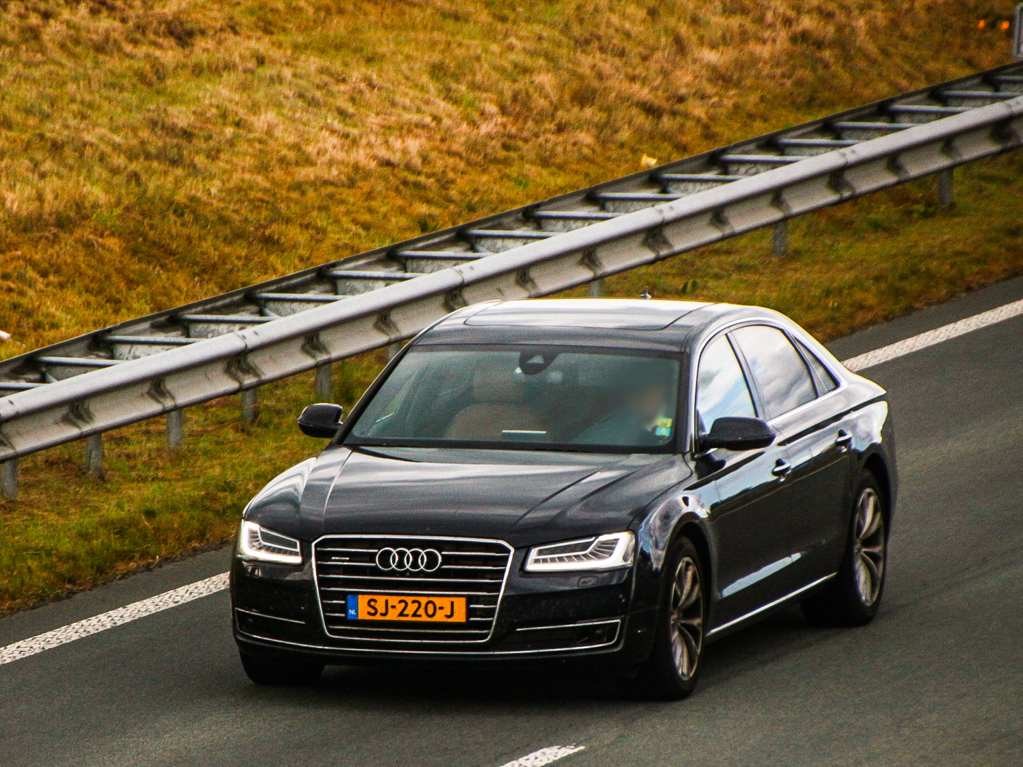 SJ-220-J, Audi A8 3rd gen (D4/4H), facelift, 2013–2018