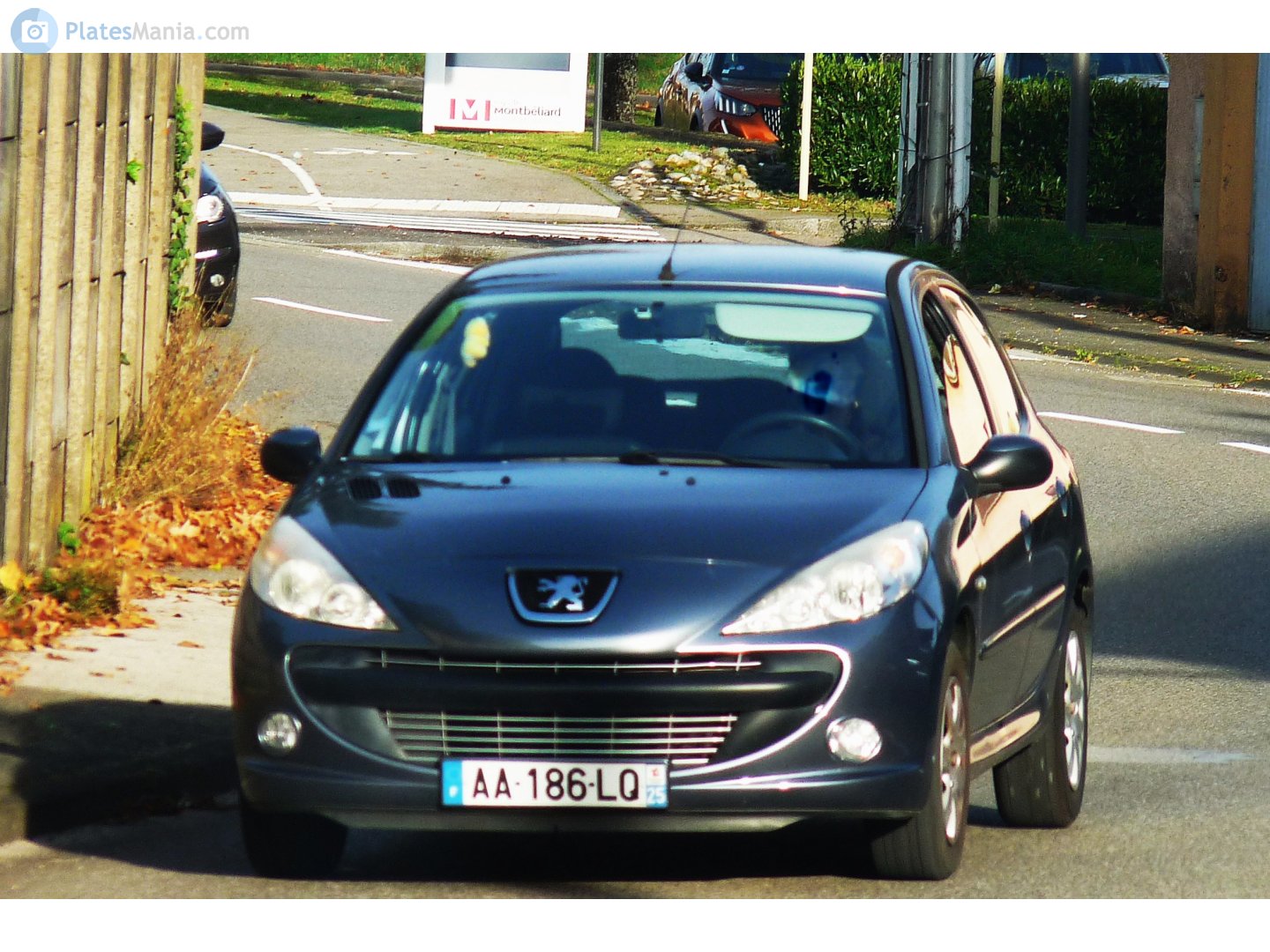 AA-186-LQ, Peugeot 206 1st gen 206+ 5-door Hatch (2M), facelift, 2009–2012