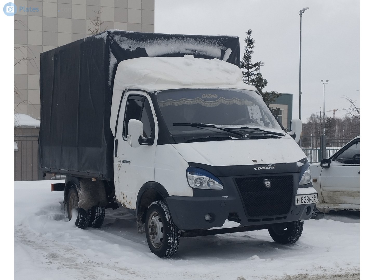 н 828 мс 54, GAZ 3302 ГАЗель 2-3302 Single Cab, facelift, 2003–