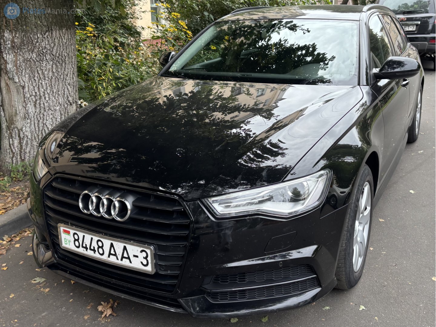 8448 AA-3, Audi A6 4th gen Avant (C7/4G5/4GD), 2011–2018