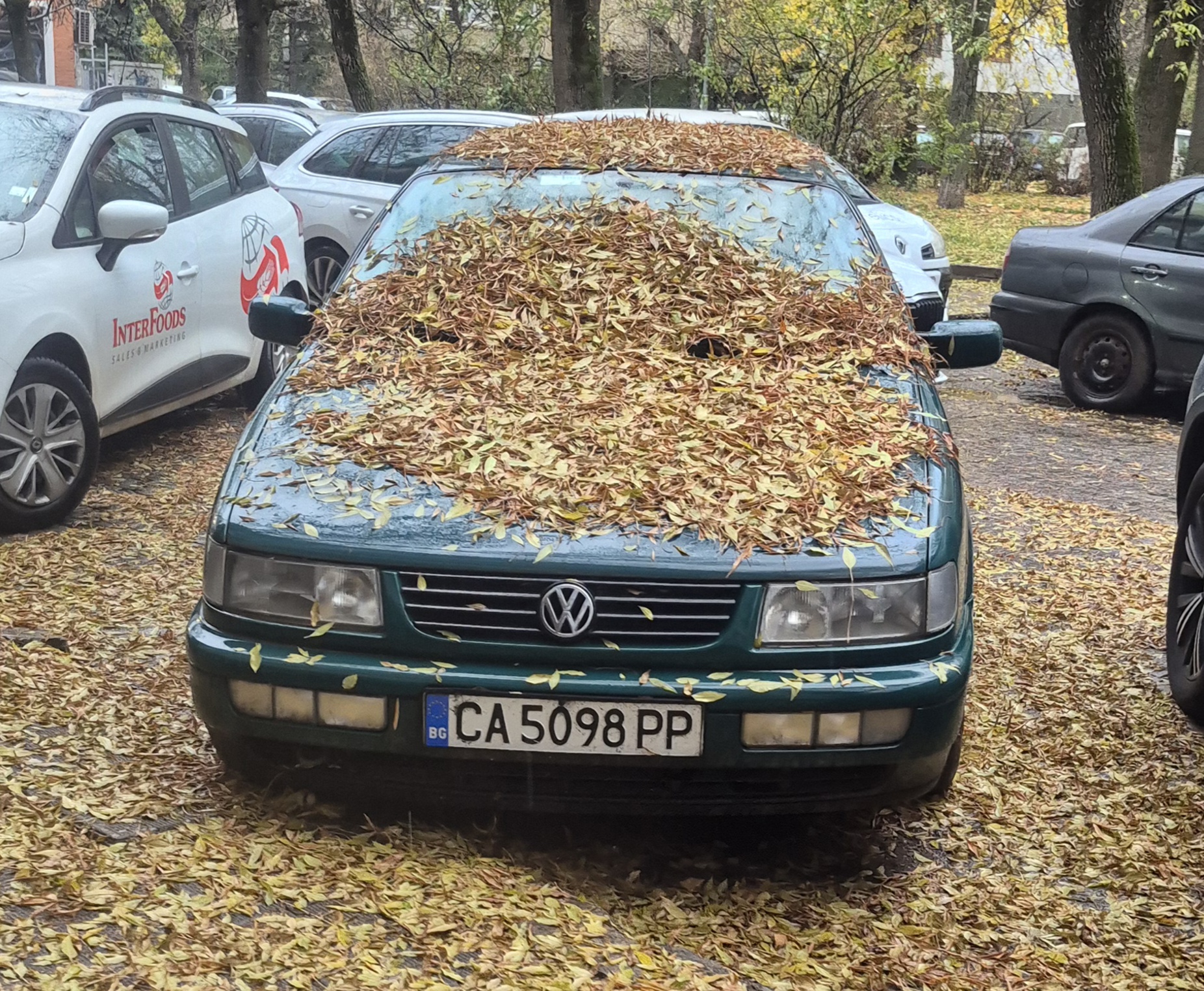 CA 5098 PP, Volkswagen Passat 4th gen Sedan (B4; 35i), 1993–1997