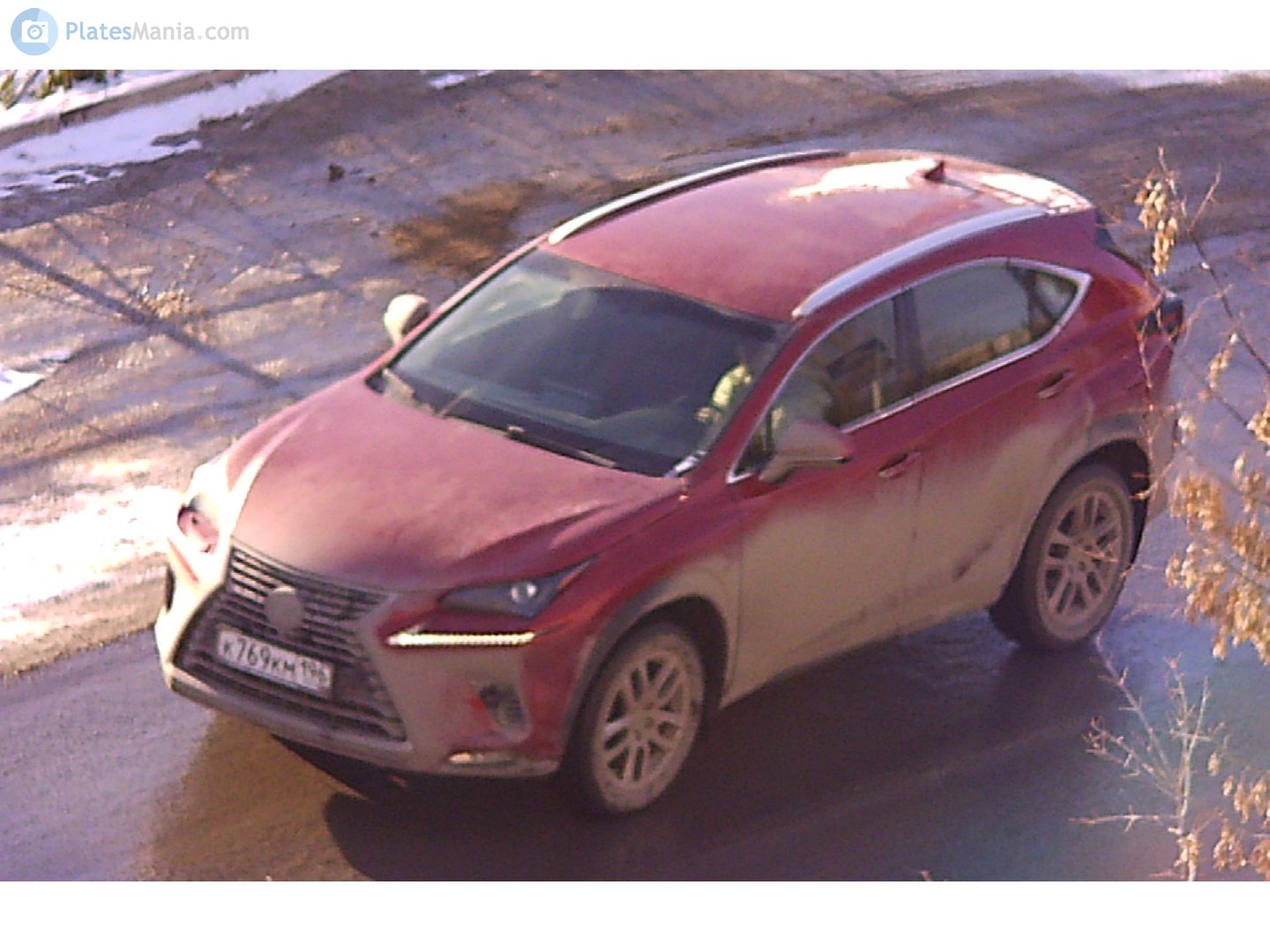 к 769 км 196, Lexus NX 