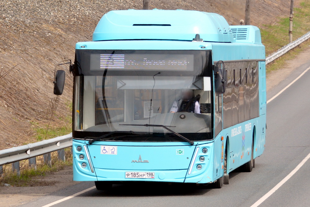 р 185 нр 198, MAZ 203 1st gen, facelift, 2022–