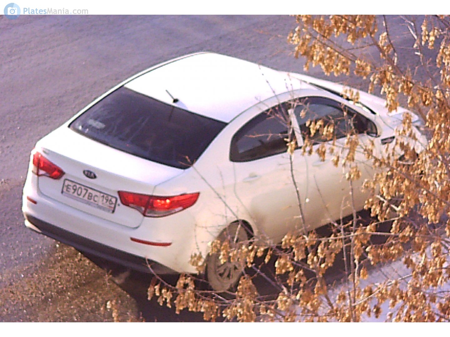 е 907 вс 196, Kia Rio 