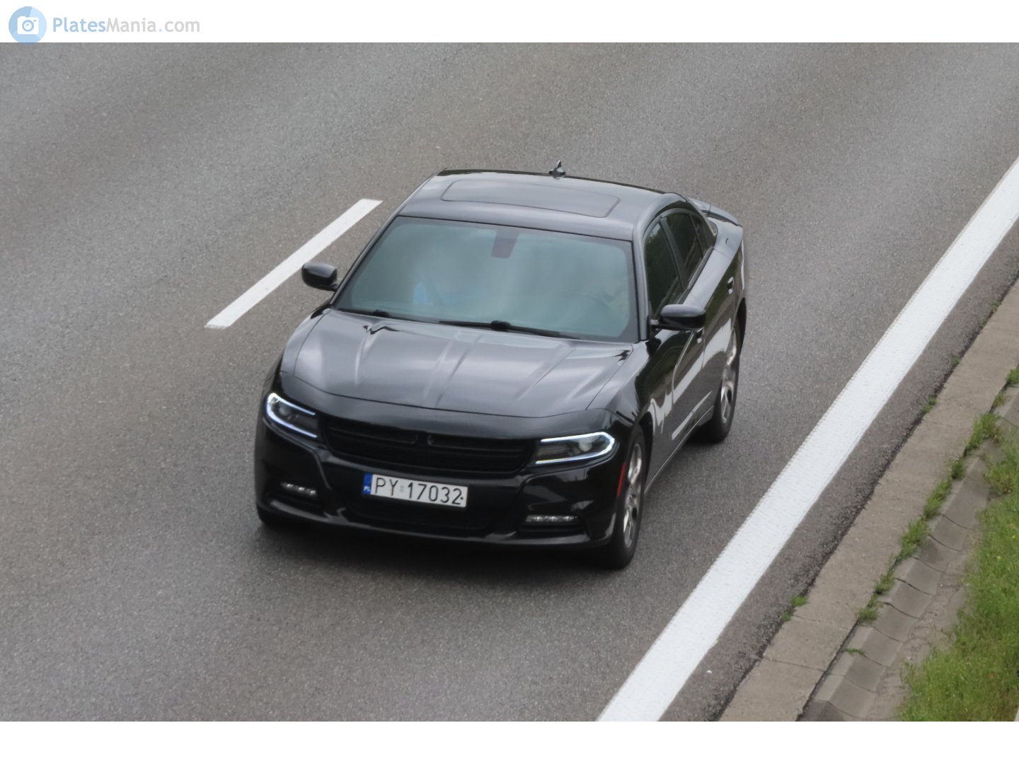 PY 17032, Dodge Charger 