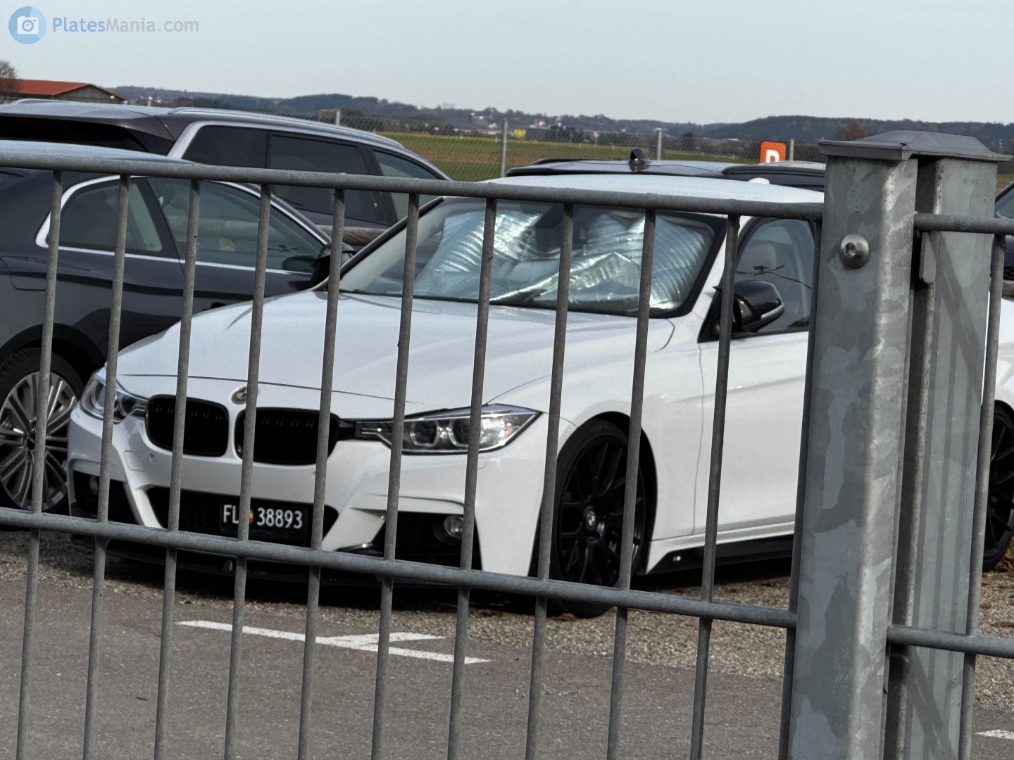 FL 38893, BMW 3 Series 6th gen Sedan (F30/F35), 2011–2019