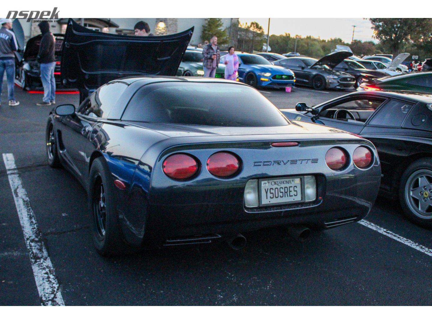YSOSRES, Chevrolet Corvette 5th gen Targa (C5; Y-body), 1996–2004