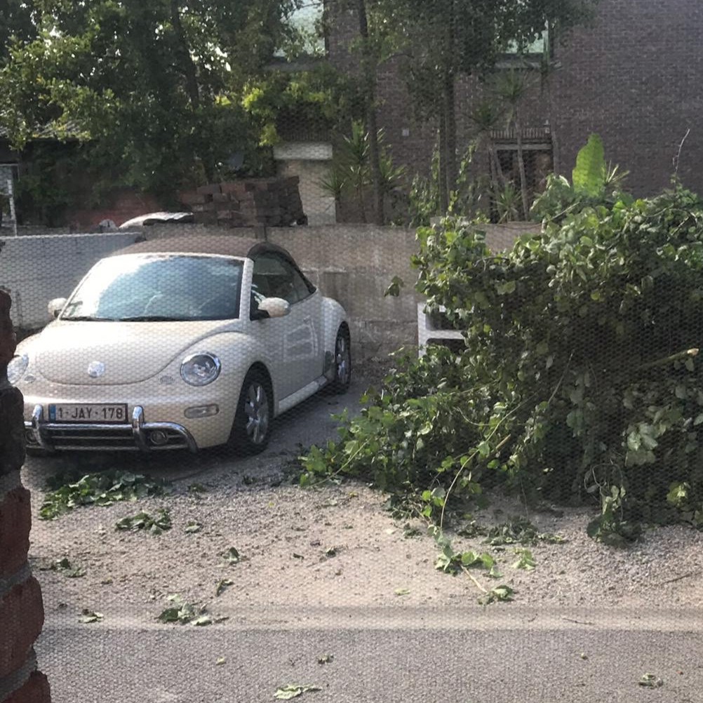 1-JAY-178, Volkswagen Beetle 