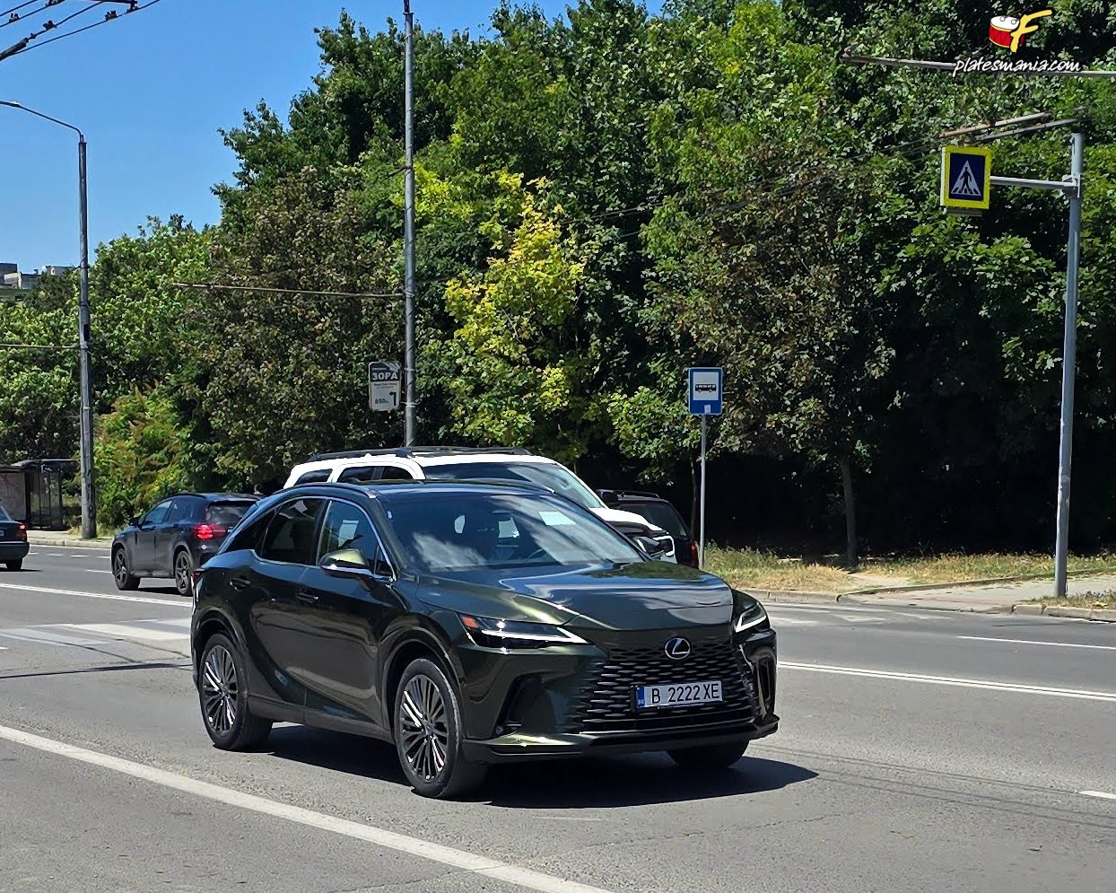 B 2222 XE, Lexus RX 5th gen (AL30), 2022–