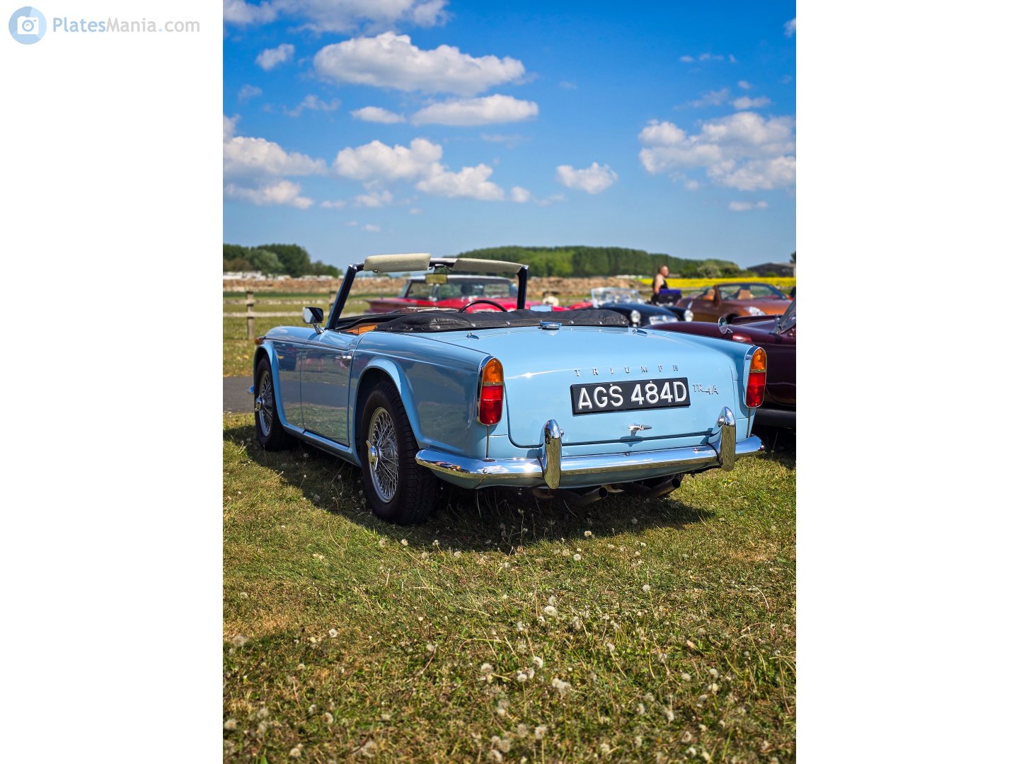 AGS484D, Triumph TR4 